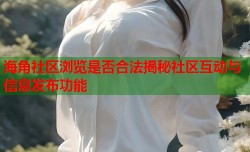 海角社区浏览是否合法揭秘社区互动与信息发布功能