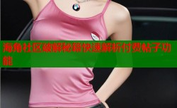 海角社区破解秘籍快速解析付费帖子功能