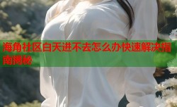 海角社区白天进不去怎么办快速解决指南揭秘