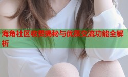 海角社区收费揭秘与优质交流功能全解析
