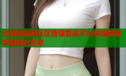 北海海角路社区管辖查询平台快速精准掌握辖区信息