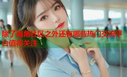 除了海角社区之外还有哪些热门交流平台值得关注
