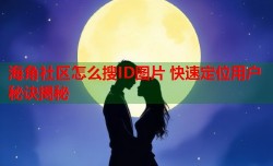 海角社区怎么搜ID图片 快速定位用户秘诀揭秘