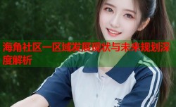 海角社区一区域发展现状与未来规划深度解析