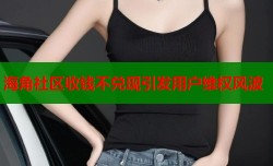 海角社区收钱不兑现引发用户维权风波
