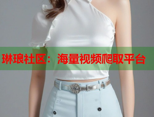 琳琅社区:海量视频爬取平台 第1张 琳琅社区:海量视频爬取平台 第1张