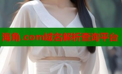 海角.com域名解析查询平台