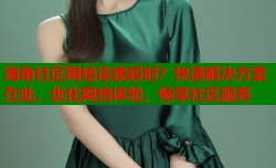 海角社区网络连接超时？快速解决方案在此，优化网络体验，畅享社区服务