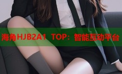 海角HJB2A1 TOP：智能互动平台
