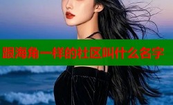 跟海角一样的社区叫什么名字
