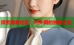 探索海角社区：内外网的独特之处