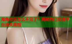 海角社区怎么不见了？揭秘热门交流平台消失真相