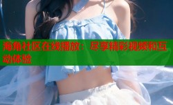 海角社区在线播放：尽享精彩视频和互动体验