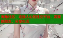 海角社区：连接人心的社交平台，发现新朋友，分享生活