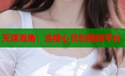 天涯海角：连接心灵的网络平台