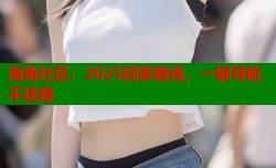 海角社区：2025回家路线，一键导航不迷路