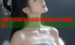 海角社区脚本安全吗详解及实用功能揭秘