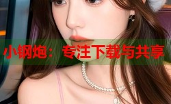 小钢炮：专注下载与共享