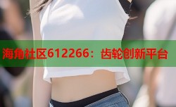 海角社区612266：齿轮创新平台