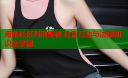 海角社区判刑揭秘 社区互动与法律知识全掌握