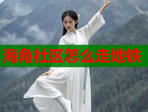 海角社区怎么走地铁  第1张