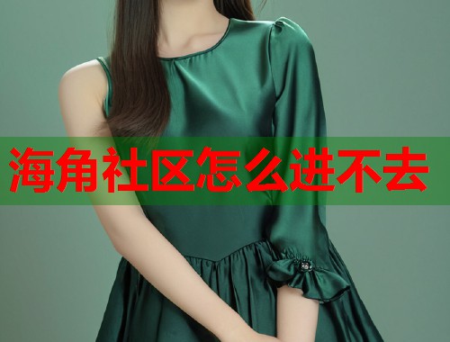 海角社区怎么进不去  第2张