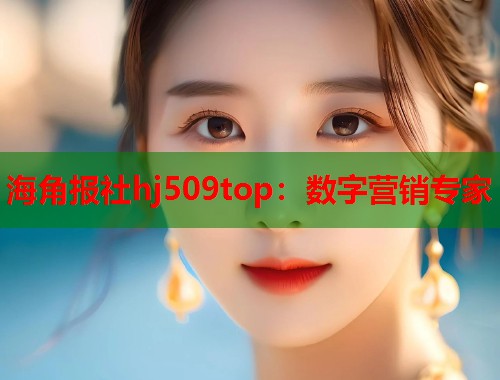 海角报社hj509top：数字营销专家  第1张