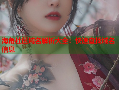 海角社区域名解析大全：快速查找域名信息  第1张