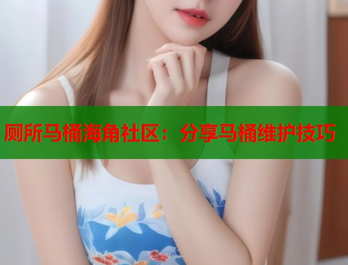 厕所马桶海角社区：分享马桶维护技巧  第1张
