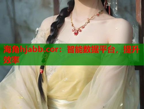 海角hjabb.cor：智能数据平台，提升效率  第1张