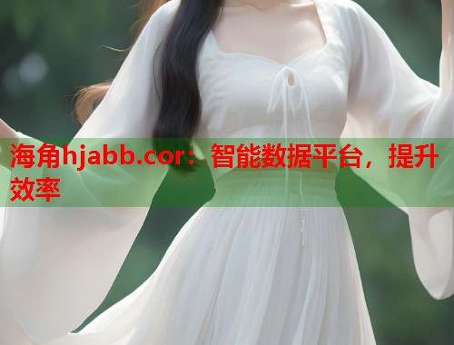 海角hjabb.cor：智能数据平台，提升效率  第2张