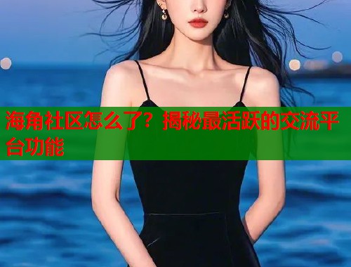 海角社区怎么了？揭秘最活跃的交流平台功能  第1张